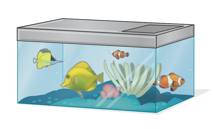 Aquarium tank with fish in it.