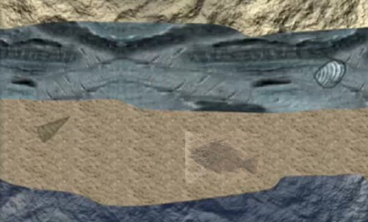 Layers with fossils embedded in them.