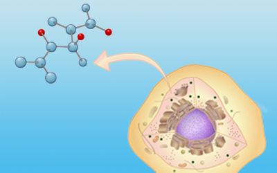 A cell with an arrow pointing from it to a DNA structure.