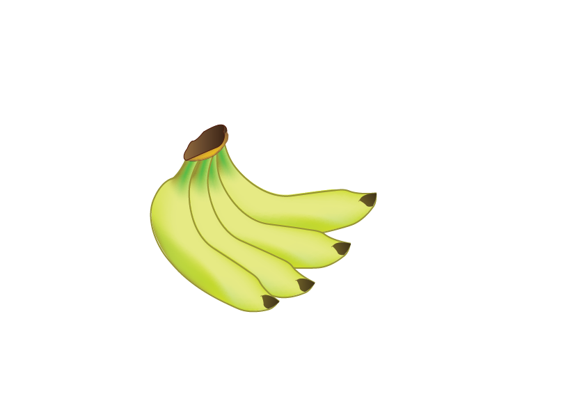A bunch of green bananas.